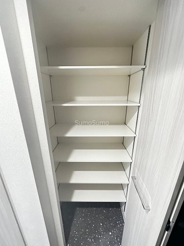 プレサンス大国町ラヴエニールの収納