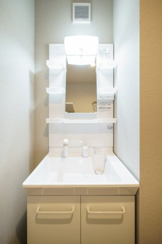 SiestaVilla東府中Gresiareの洗面所
