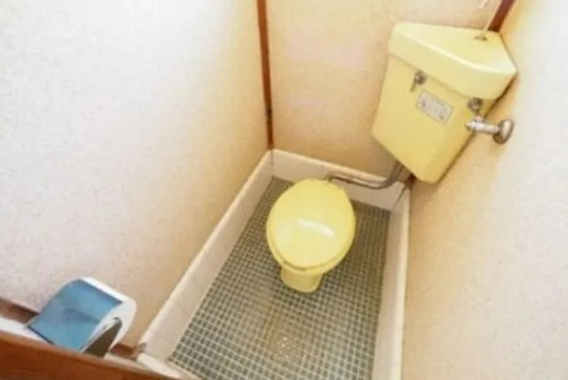 ハイツ高峯のトイレ