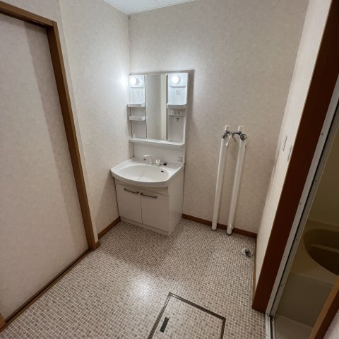 東町グレイスタウンＥの洗面所