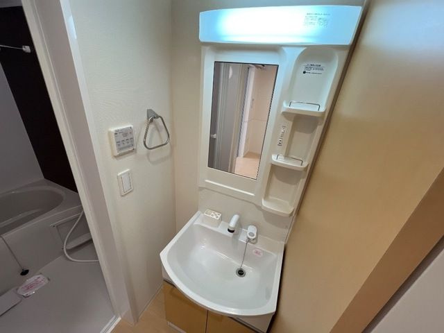グランツ山之手の洗面所