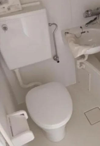 所沢市小手指町２丁目の賃貸マンションのトイレ