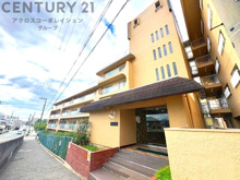 スターハイツ住吉川の画像