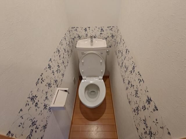 アイランドコロニーのトイレ
