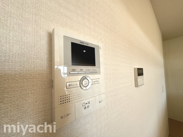 ヴェルドミールのセキュリティ