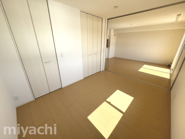 ヴェルドミールのその他