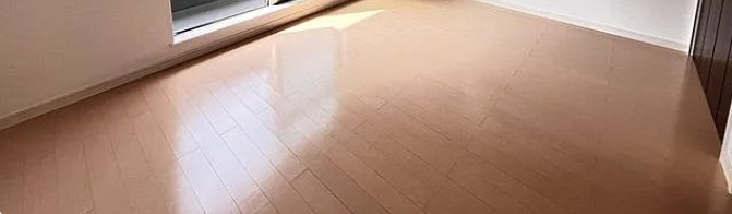 フォレストメゾン駒込の居間・リビング