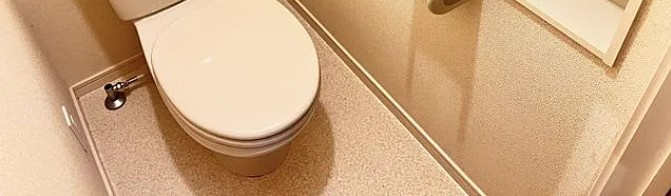 フォレストメゾン駒込のトイレ