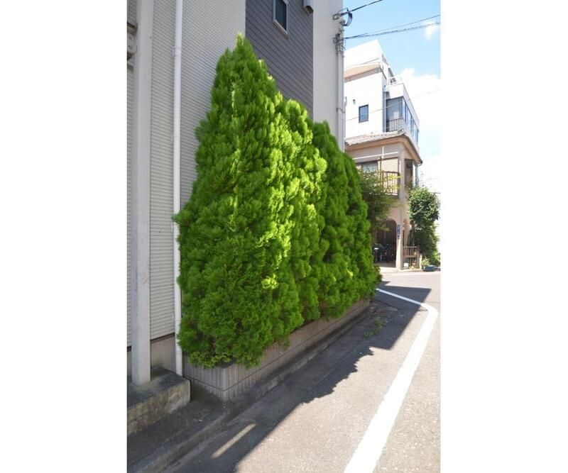 フォレストメゾン駒込のその他
