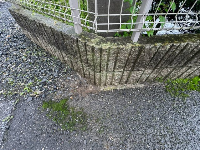 -三丁目不動産-　羽生市藤井下組　南西角地の外観