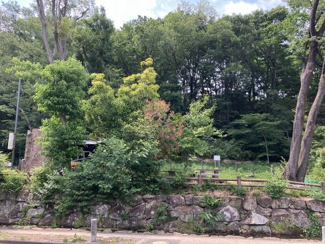 豊田第3コーポラスの周辺|黒川清流公園