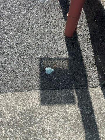 セザール大和のその他