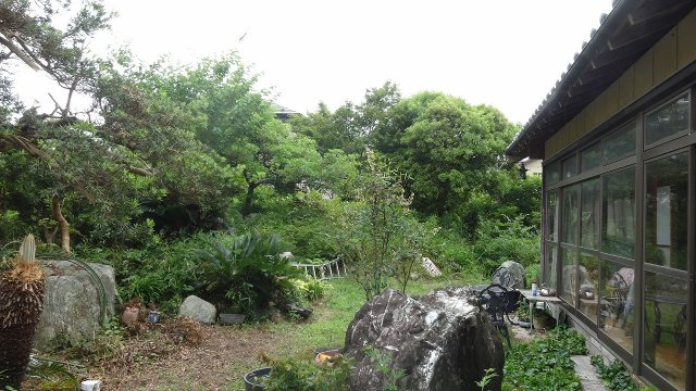千葉県茂原市上林 中古戸建ての庭|お庭で自由な時間を過ごせます