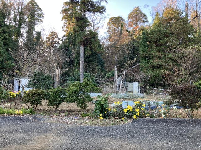 平坦な200㎡売地・資材置場や菜園に～市原市潤井戸～の外観|現況は畑として利用。高低差の少ない平坦な地勢の山林です