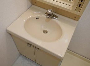 パークレジデンス大森の洗面所