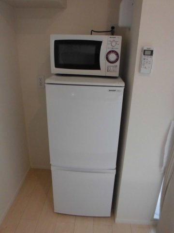 レオネクストヴィラ　アゼリアのその他|大型家電