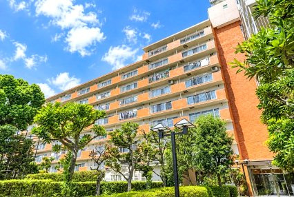 市川市相之川１丁目の賃貸マンションの外観