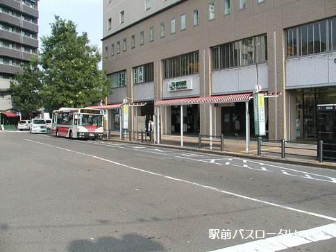 ラフォンテ高円寺の周辺