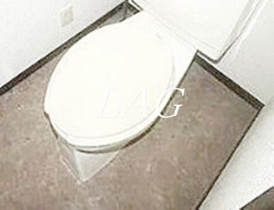【トイレ】 | オークウッドⅡ | トイレです。