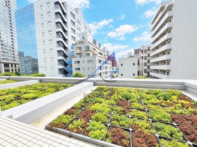 白金タワー　テラス棟の展望|展望です。