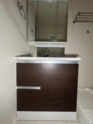 川崎市多摩区菅５丁目の賃貸マンションの洗面所