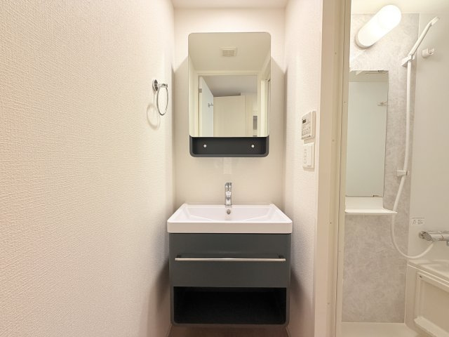 セレニテ西元町アリエの独立洗面台