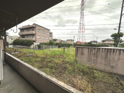 【展望】