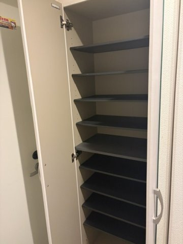 屋上ドックラン