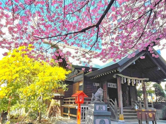 ライオンズシティ蔵前