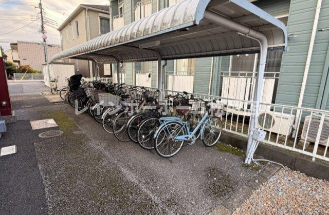 ラフィーヌ・ベルデアールのその他