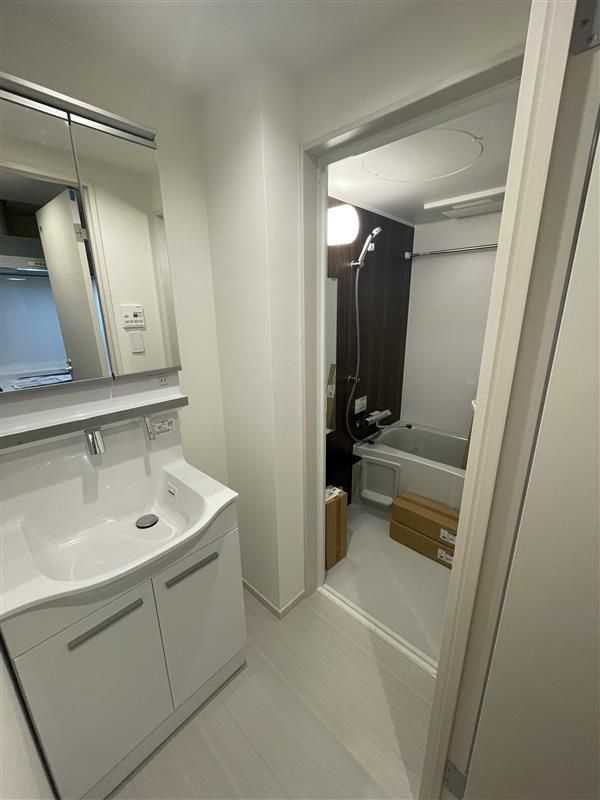 リブリ・Espoir 伍番館の独立洗面台