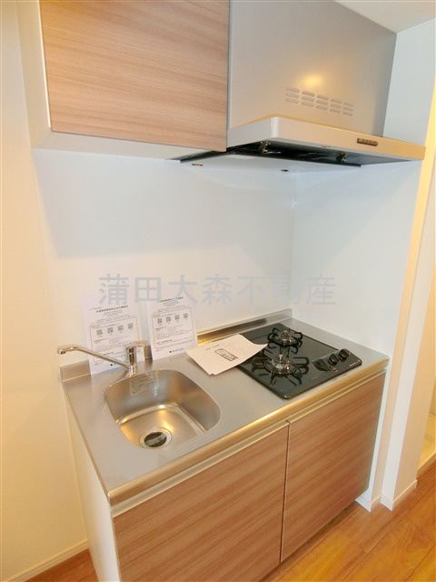 IXO M's HOUSE(イクシオエムズハウスのキッチン|2口ガスシステムキッチン