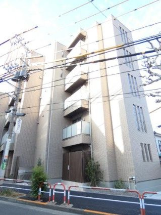 ワイズフォレスト