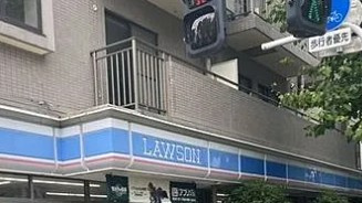 ライオンズマンション大山氷川町の周辺