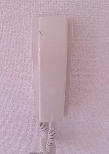 カースル三ノ輪　Ａ棟のセキュリティ