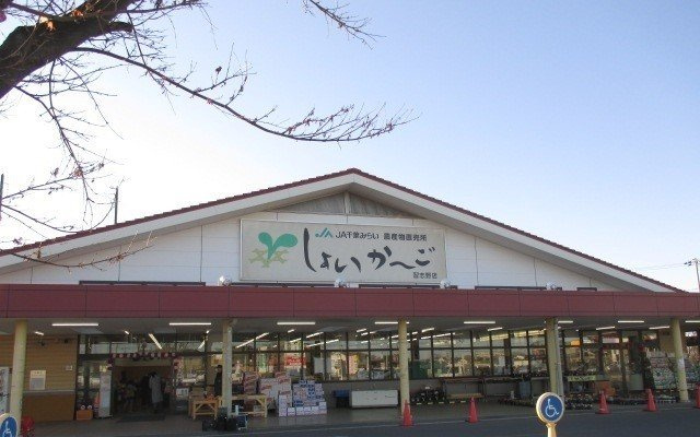 レーヴ習志野の周辺|しょいか～ごまで550m