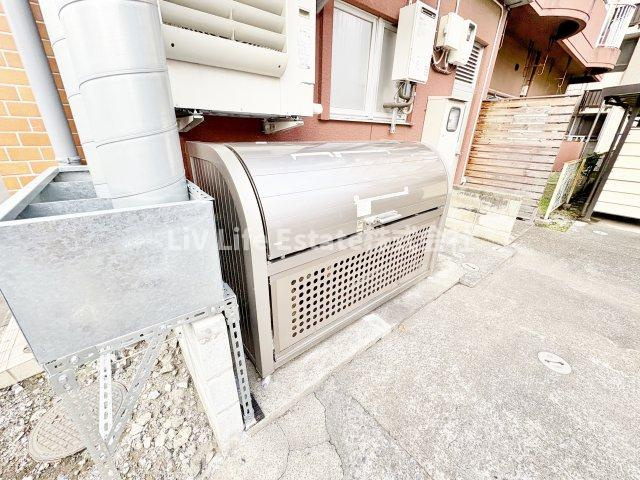セザール麻美