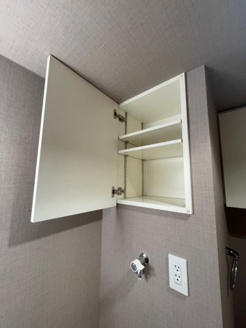 グラントゥルース大山幸町の洗面所