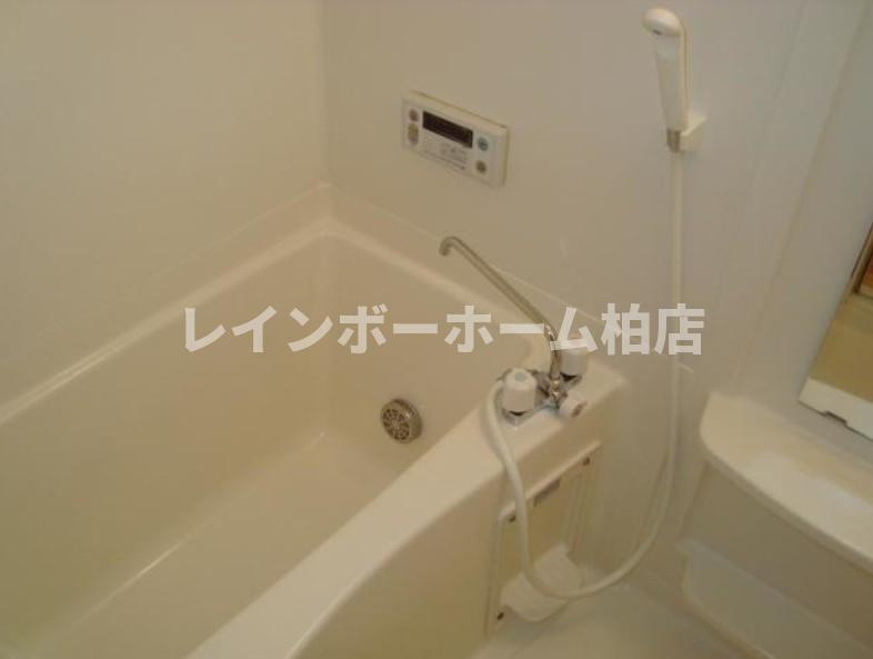 【仲介手数料：50％OFF】対象物件！の浴室|コンパクトで使いやすいお風呂です
