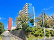 野庭団地608-5号棟　上永谷駅約20分/南東向きバルコニーの画像
