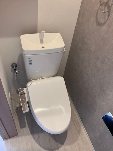 LUANA GARDEN【10.000円キャッシュバック対象物件】のトイレ|コンパクトで使いやすいトイレです
