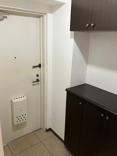 ライオンズマンション若葉の玄関|※原状回復工事前写真