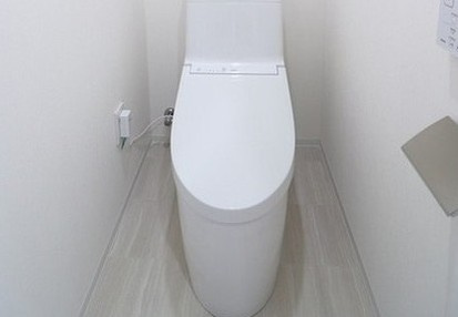 ブラウ南池袋のトイレ