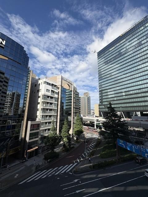 パークハウス渋谷山手の展望