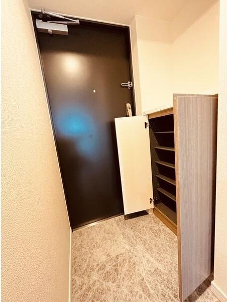 S-RESIDENCE茶屋ヶ坂の玄関