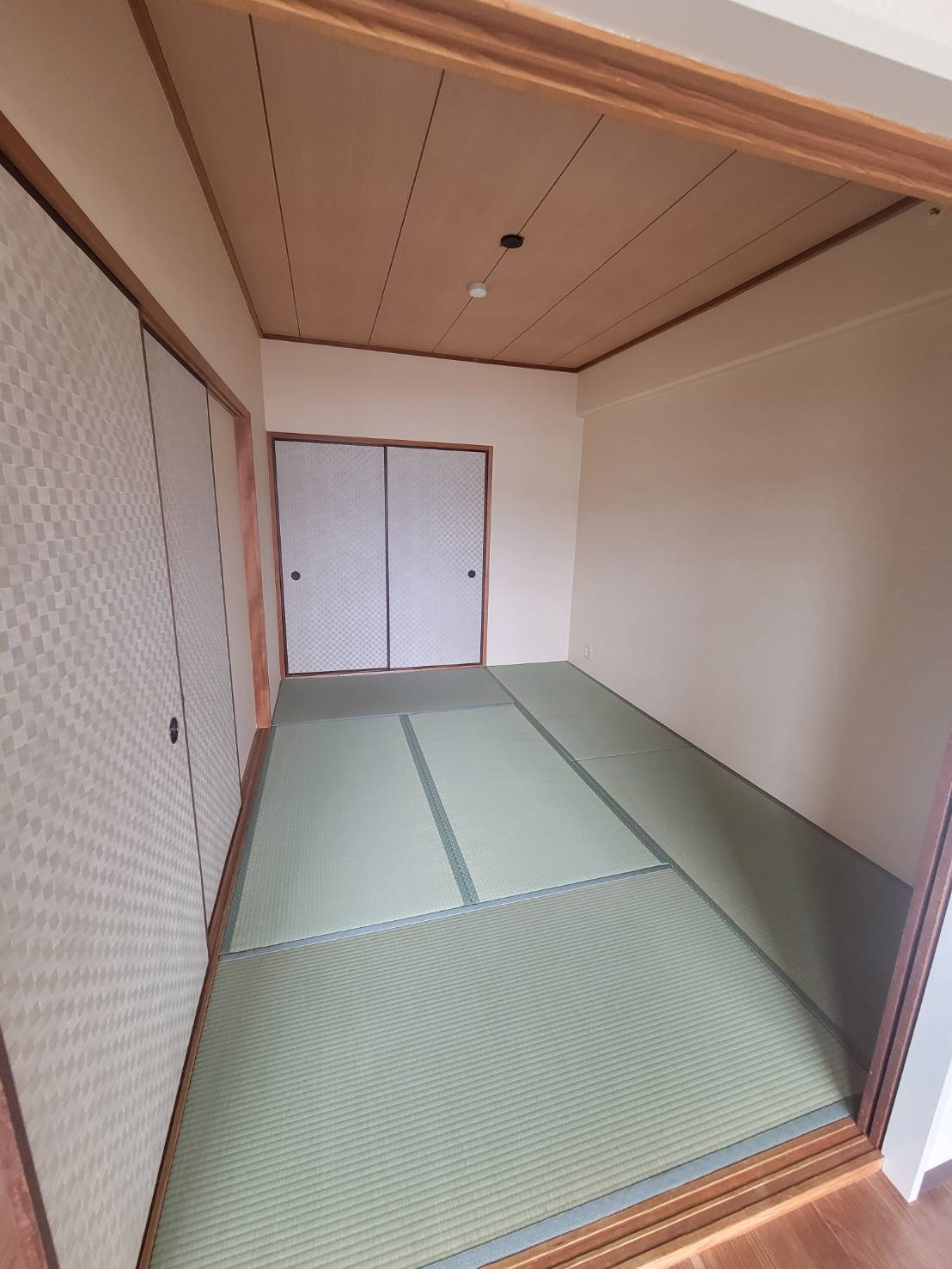 サンジェール増井の和室