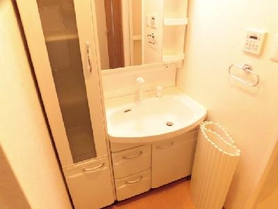 ビクトワール西大路御池の洗面所|シャンプードレッサー