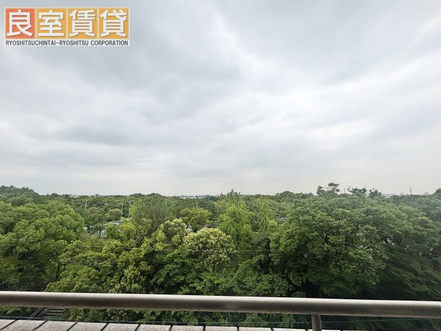 【展望】 | グランデ元塩