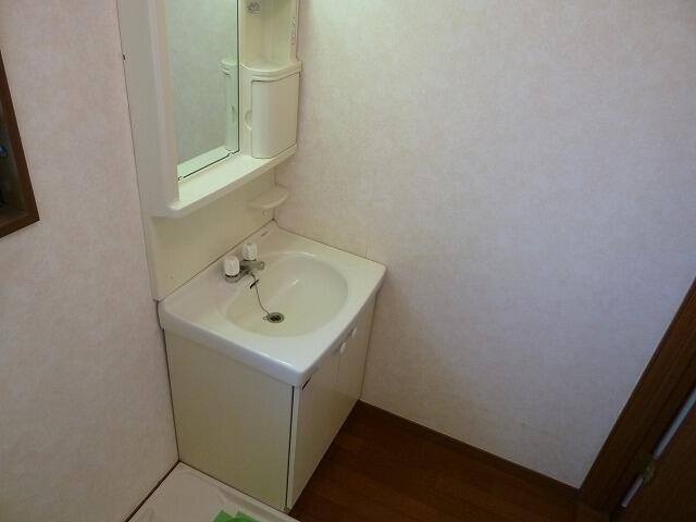 シャトレーイーストの洗面所
