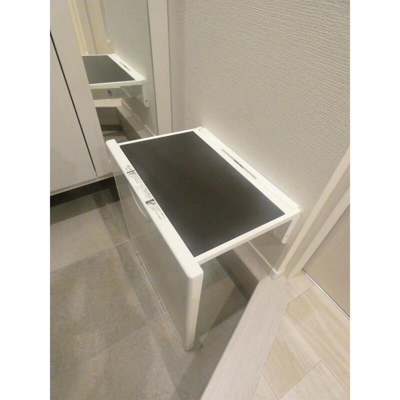 モンステラのその他
